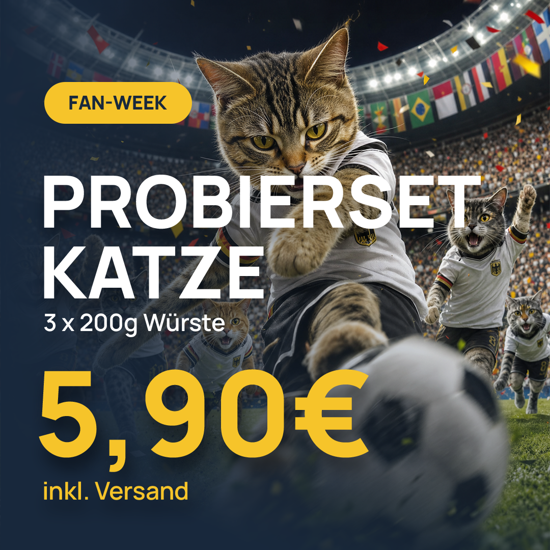 Campaign-Highlights BestVit