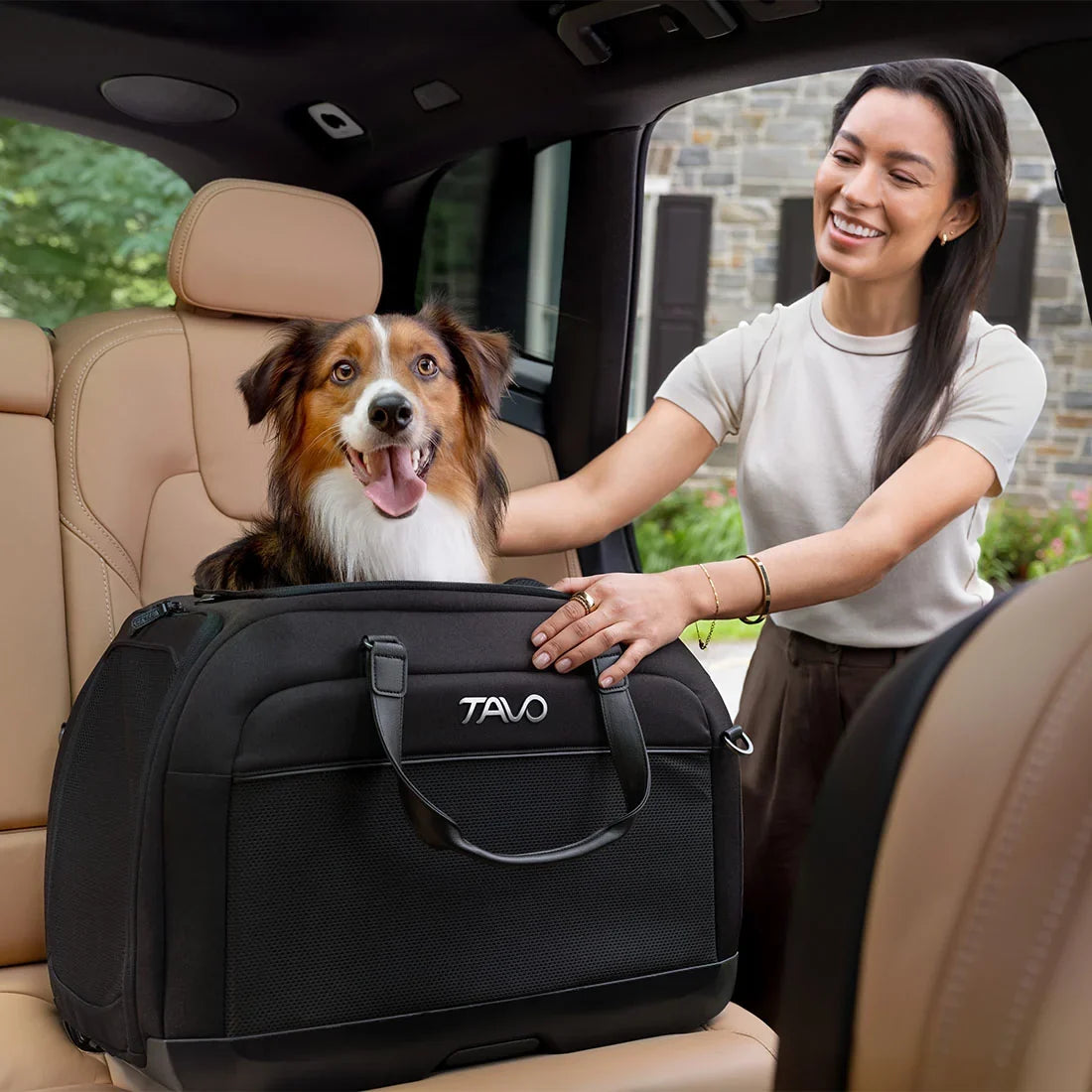 Hund in einer Tavo Pets Transportbox auf der Rückbank
