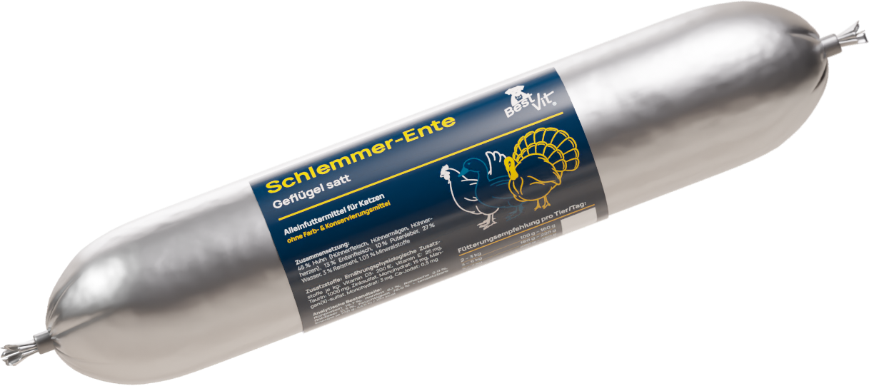Schlemmer-Ente Freisteller