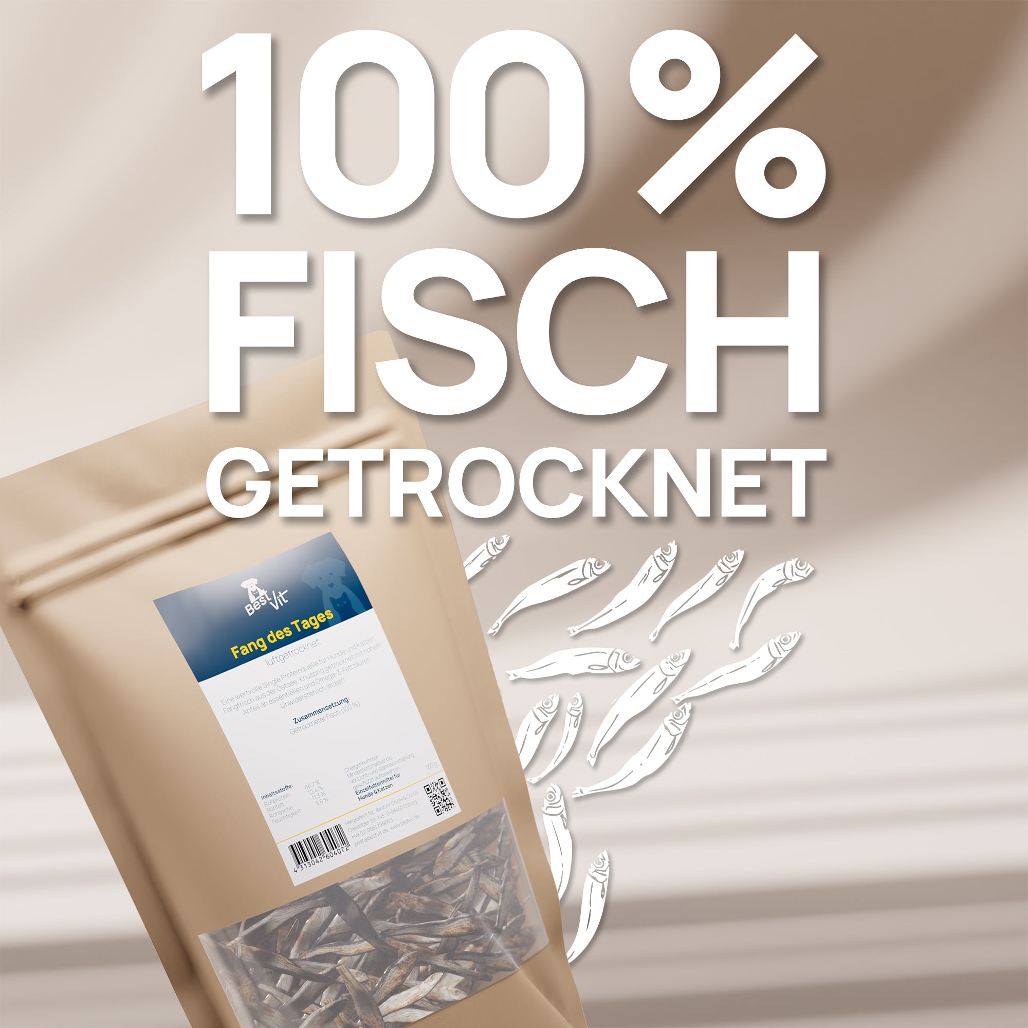 Fang des Tages BestVit Produktbild