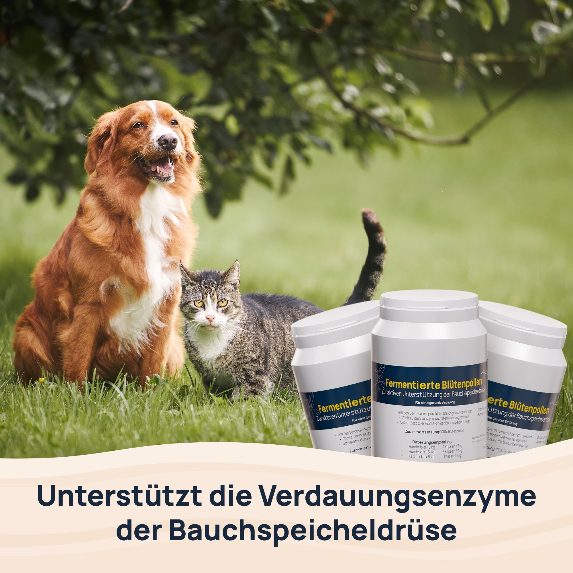Fermentierte Blütenpollen BestVit Produktbild