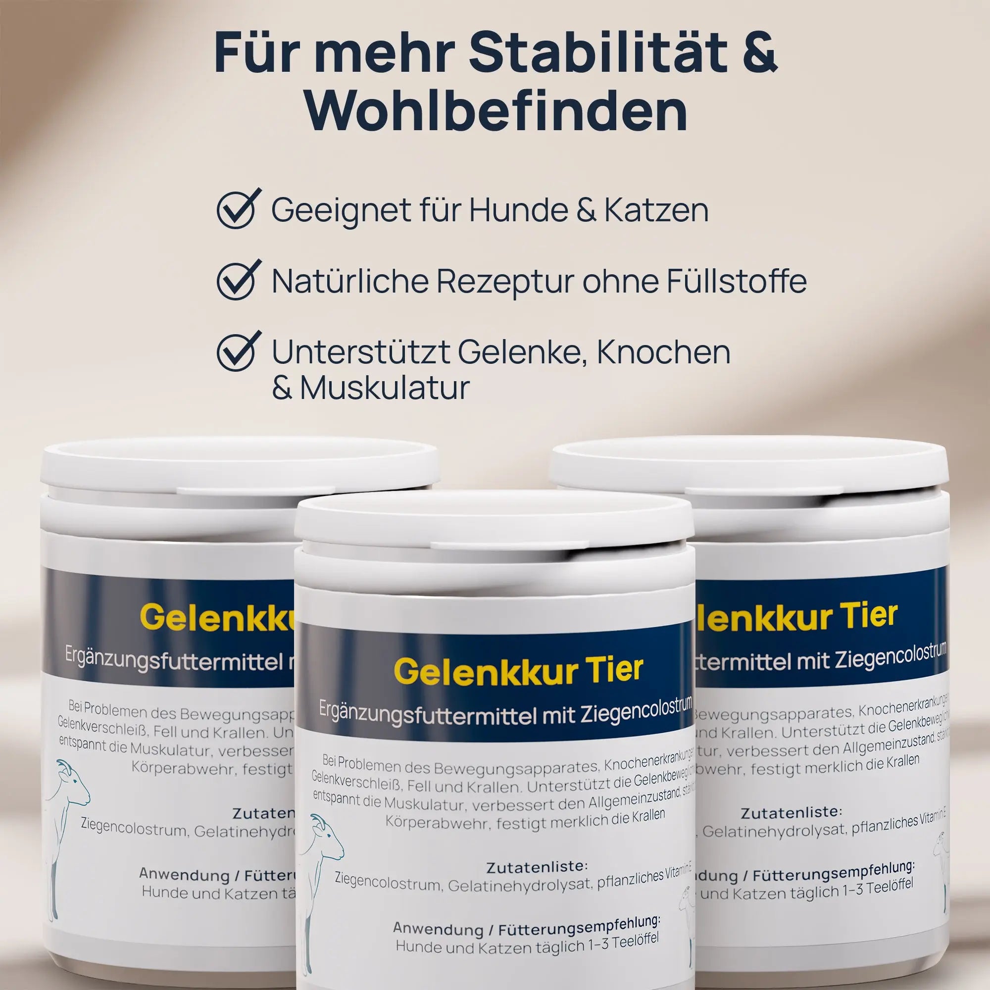 Gelenkkur BestVit Produktbild