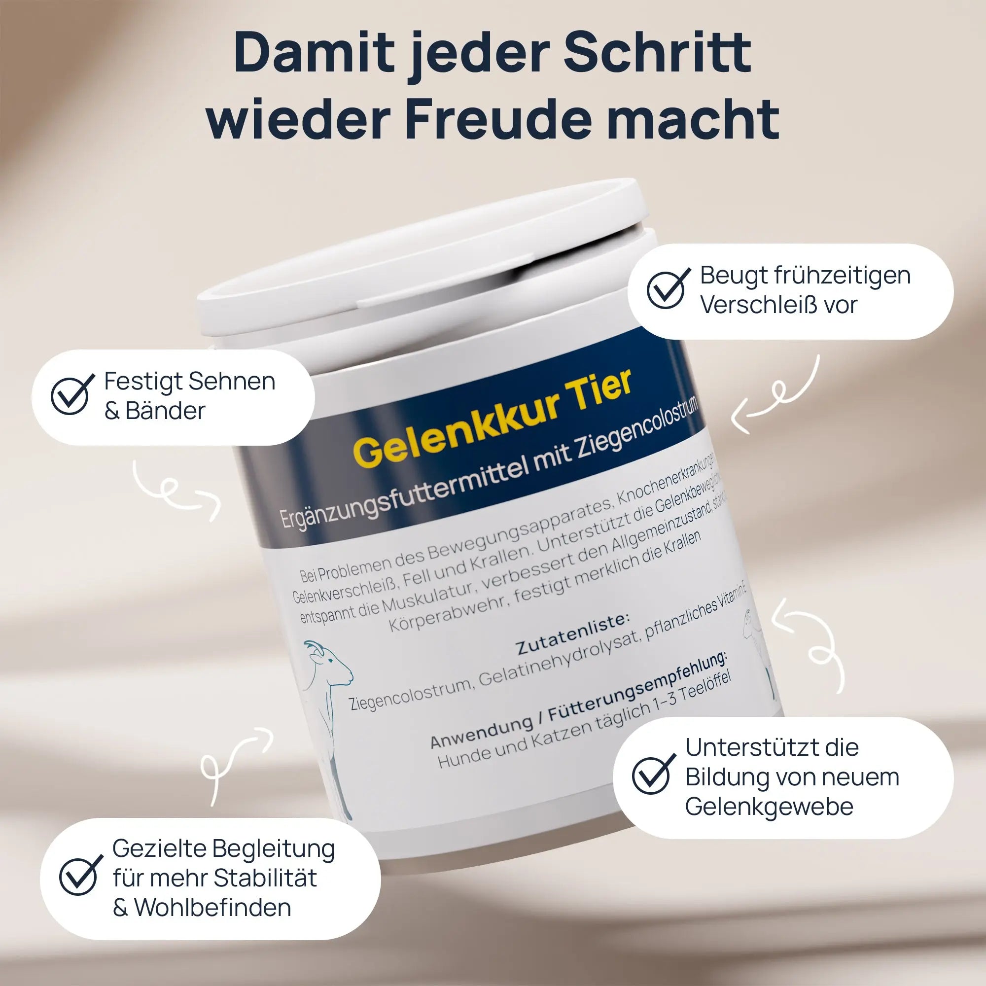 Gelenkkur BestVit Produktbild