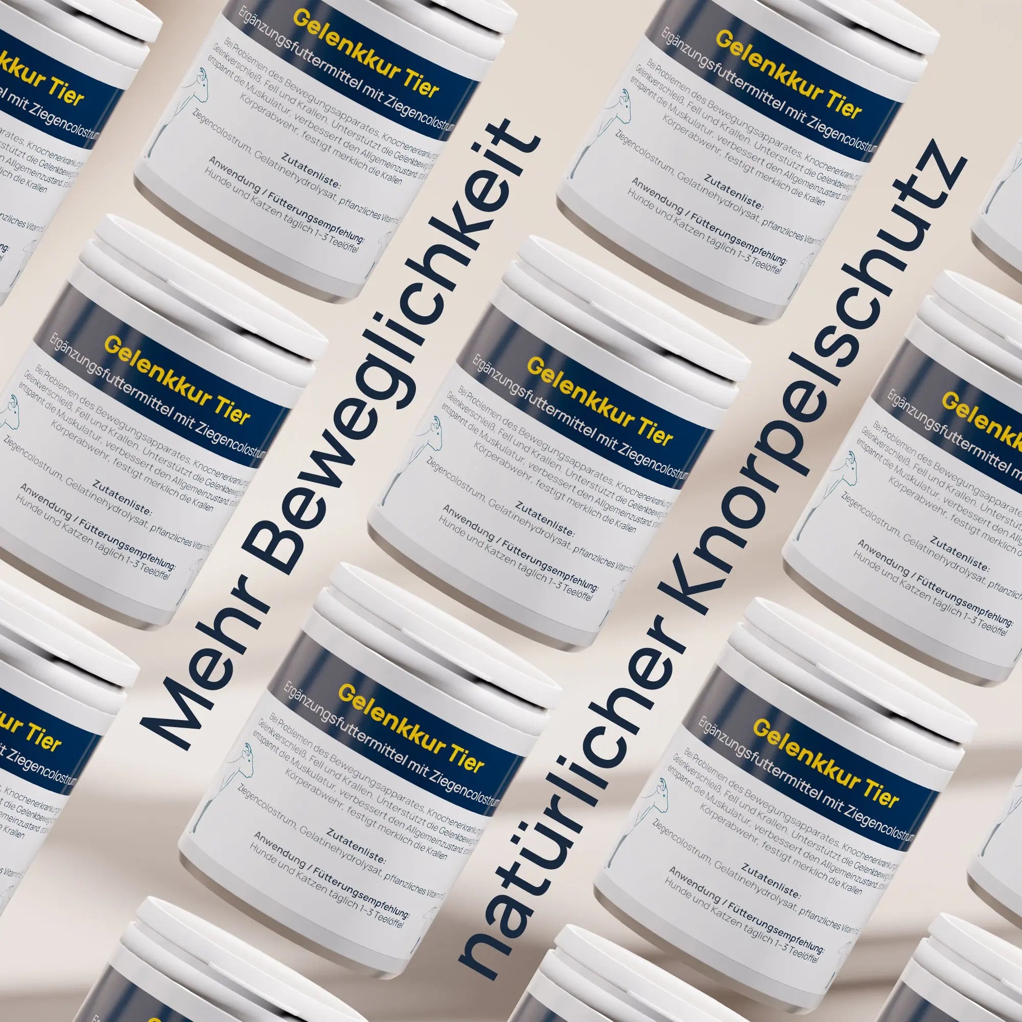 Gelenkkur BestVit Produktbild