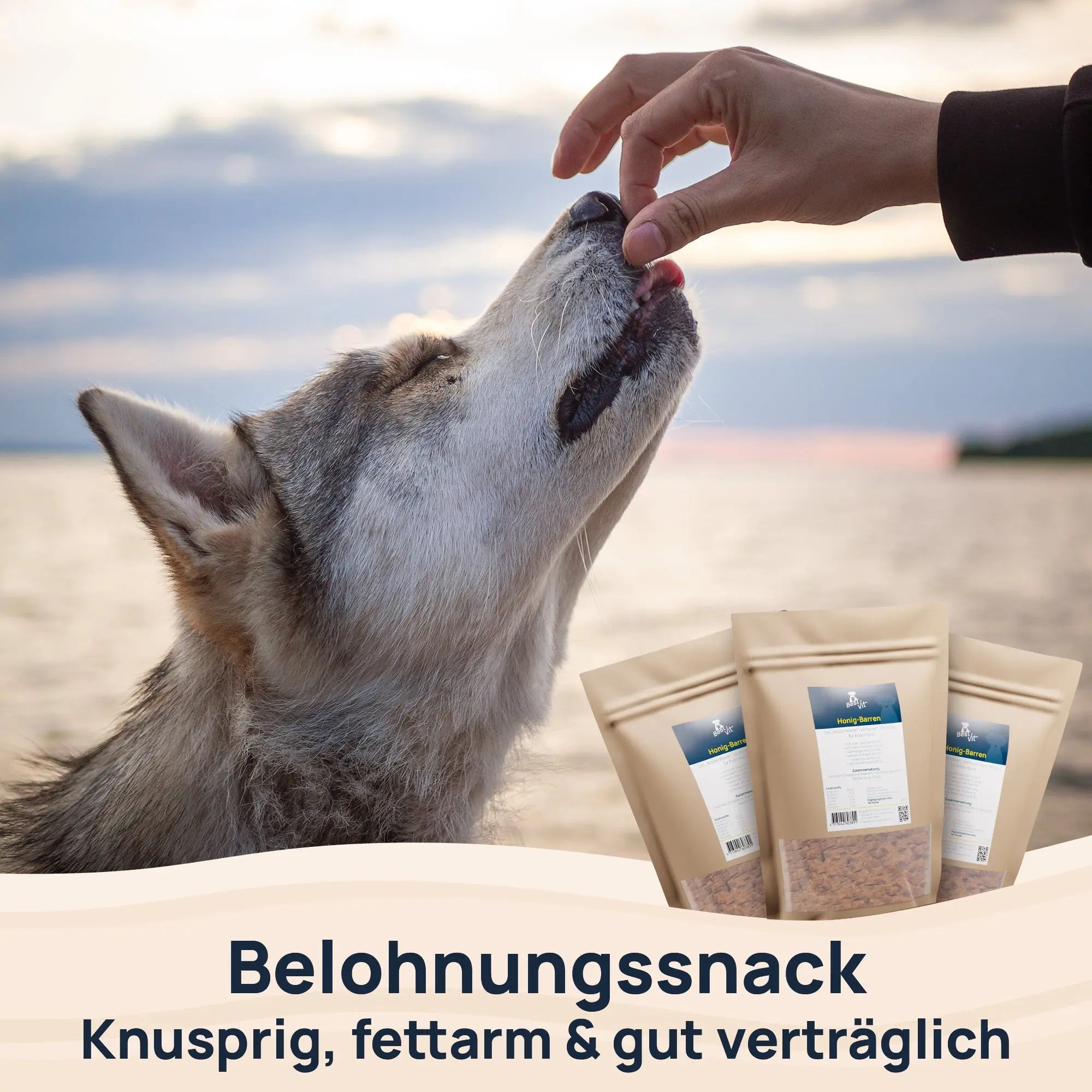 Honig-Barren BestVit Produktbild