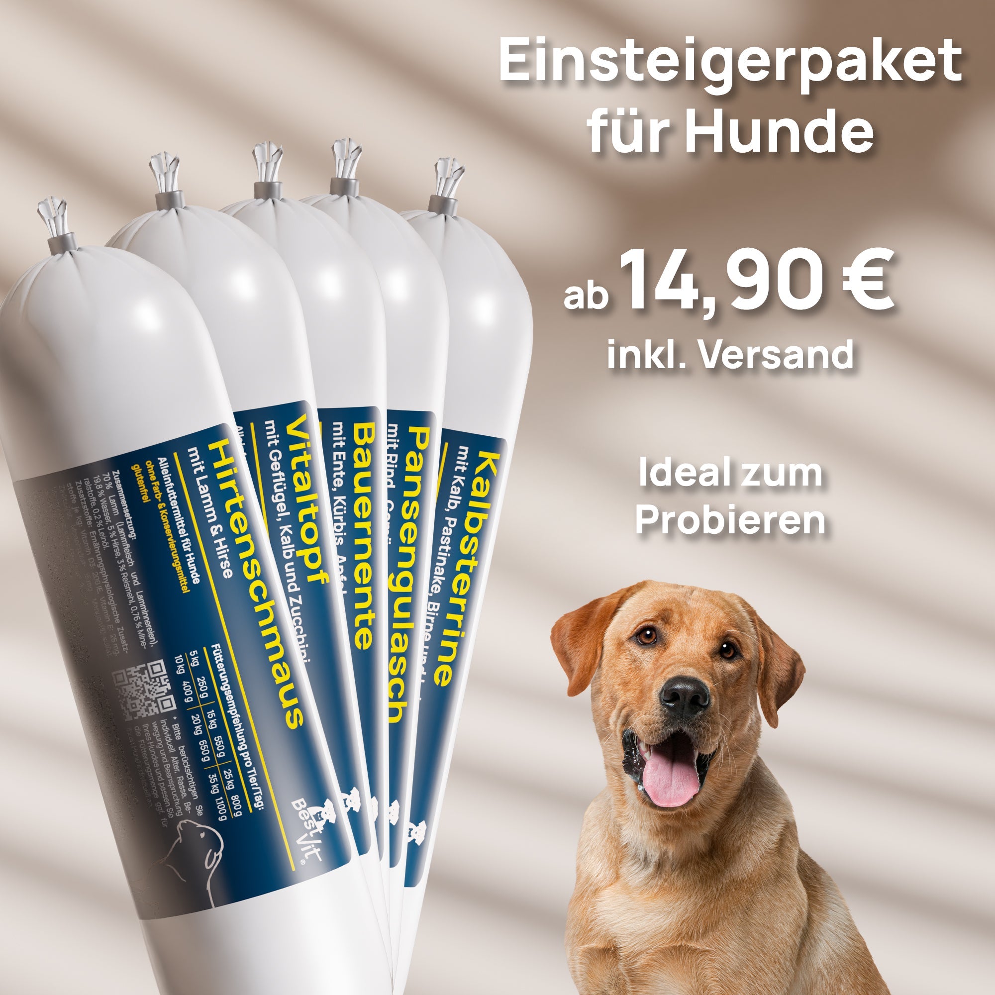 Probierset Hund BestVit Produktbild