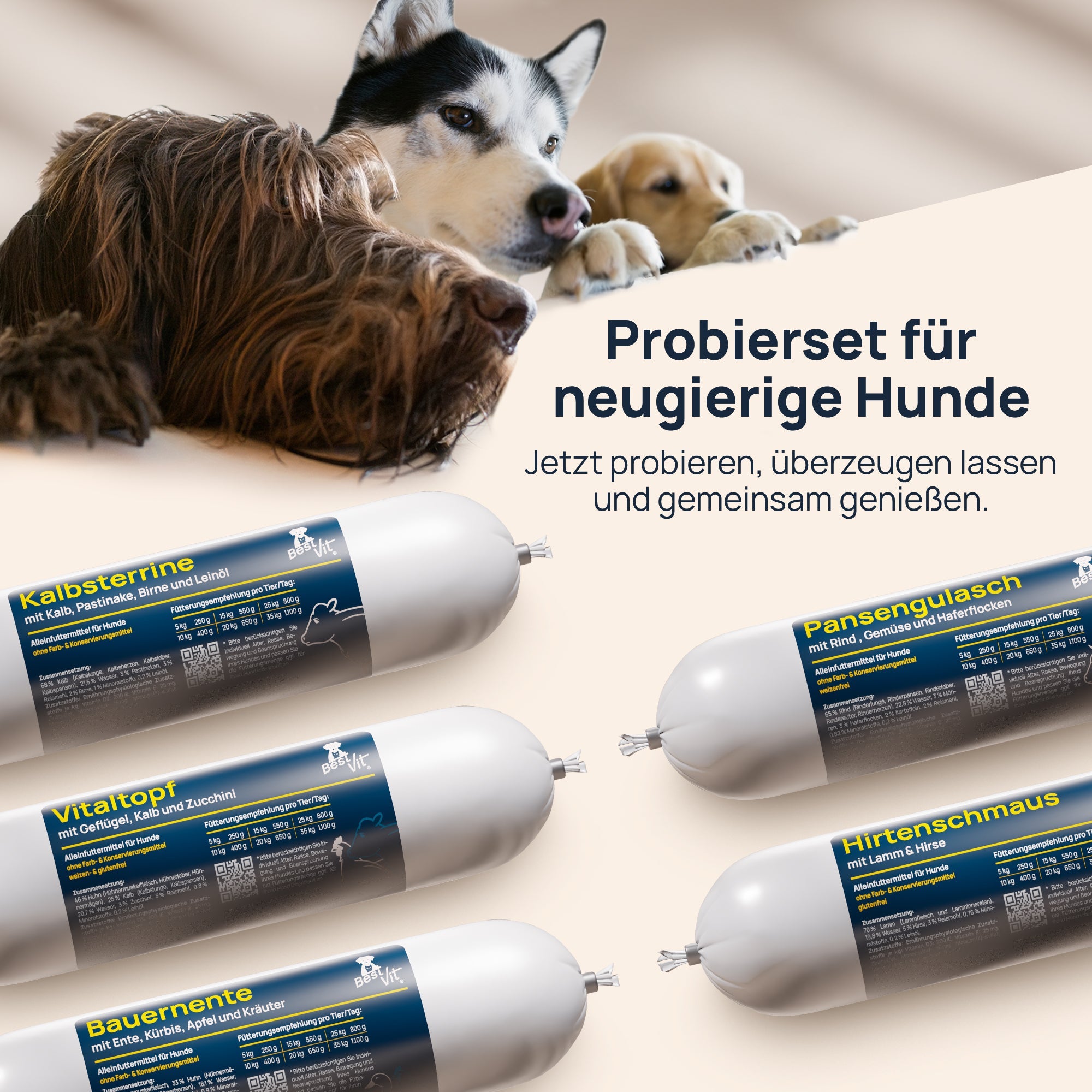 Probierset Hund BestVit Produktbild