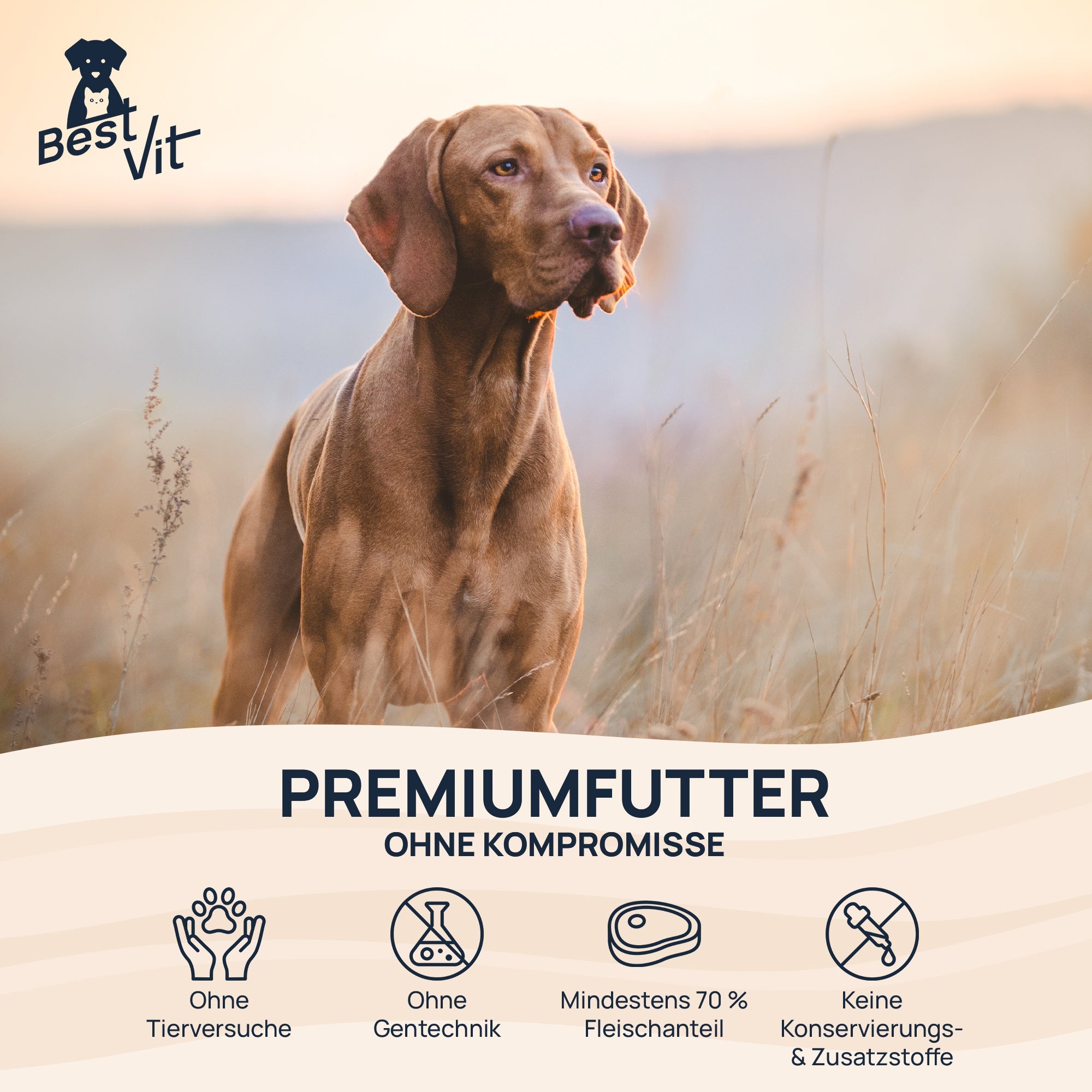 BestMix Hund BestVit Produktbild