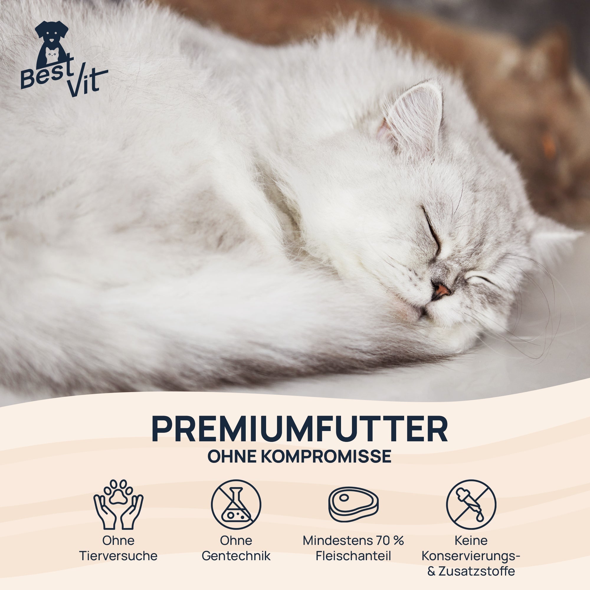 BestMix Katze BestVit Produktbild